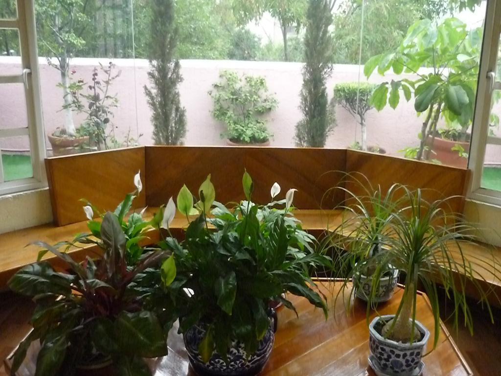 Casona Roma Norte Мехико Экстерьер фото